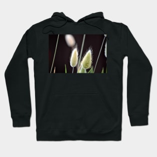 Plant Hairs Hoodie